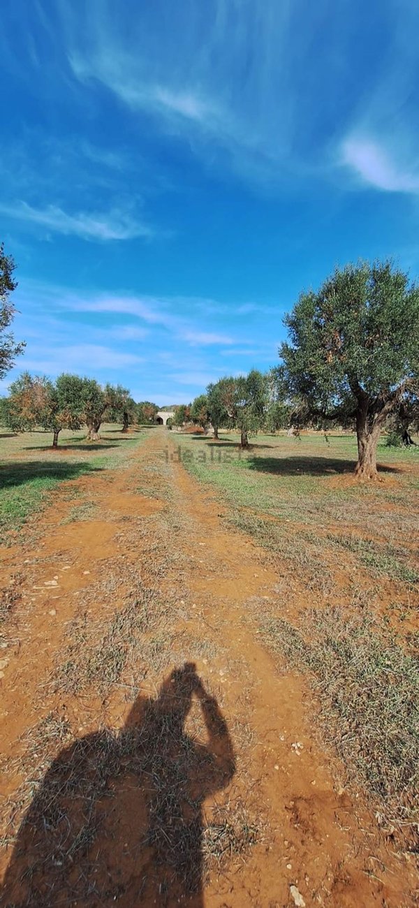 appartamento in vendita a Manduria