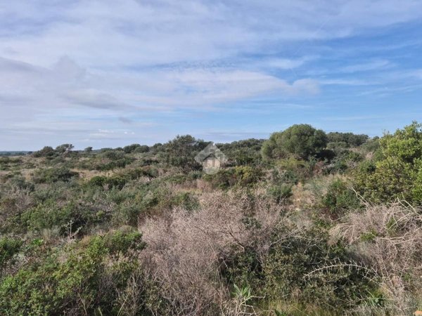 terreno agricolo in vendita a Manduria in zona San Pietro in Bevagna