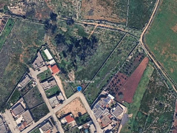 terreno agricolo in vendita a Manduria