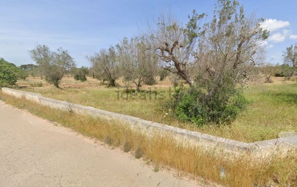 terreno agricolo in vendita a Manduria