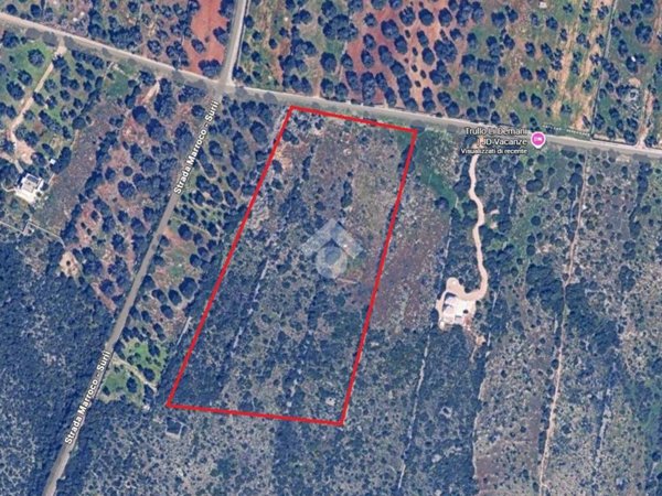 terreno agricolo in vendita a Manduria in zona San Pietro in Bevagna