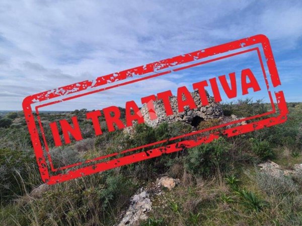 terreno agricolo in vendita a Manduria in zona San Pietro in Bevagna