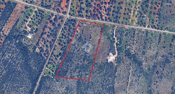 terreno agricolo in vendita a Manduria in zona San Pietro in Bevagna