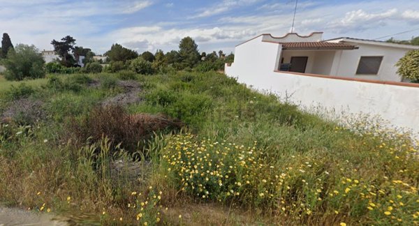 terreno agricolo in vendita a Manduria
