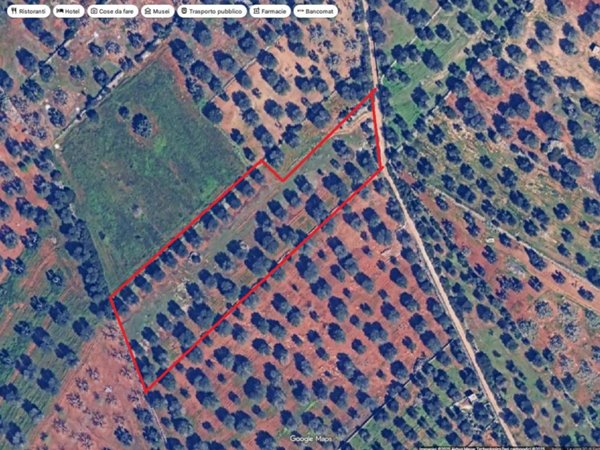 terreno agricolo in vendita a Manduria