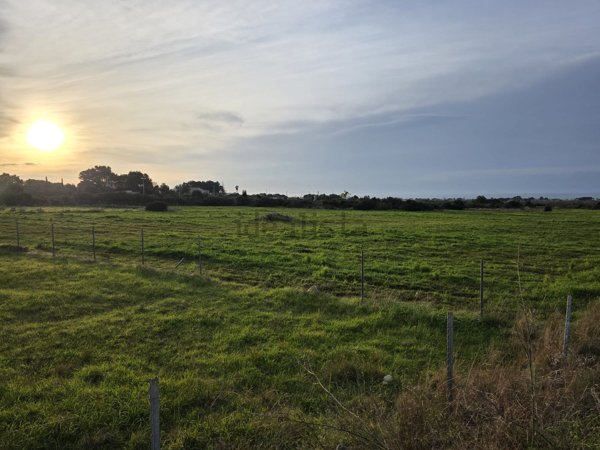 terreno agricolo in vendita a Manduria