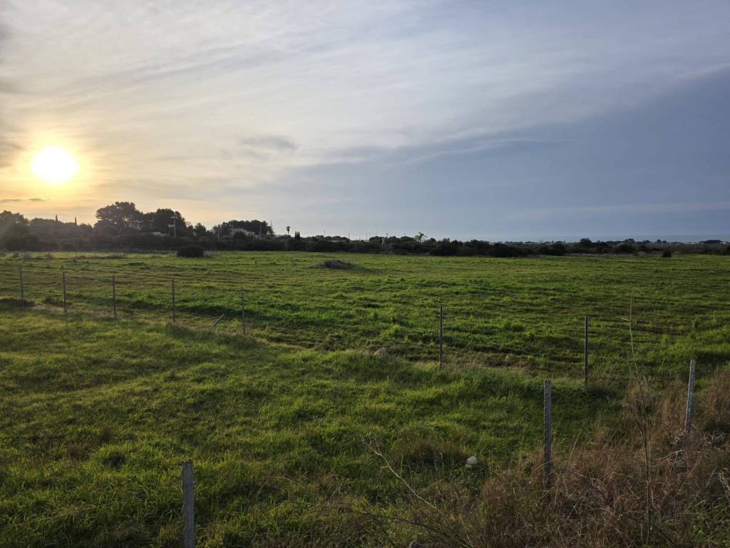 terreno agricolo in vendita a Manduria in zona San Pietro in Bevagna