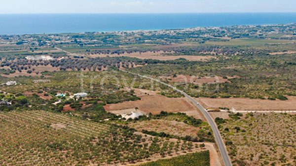 terreno agricolo in vendita a Manduria