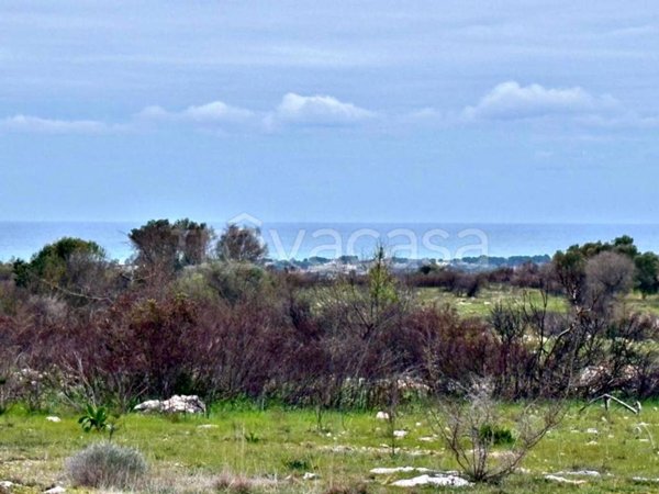 terreno agricolo in vendita a Manduria
