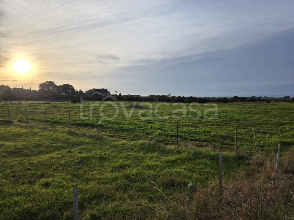 terreno agricolo in vendita a Manduria in zona San Pietro in Bevagna