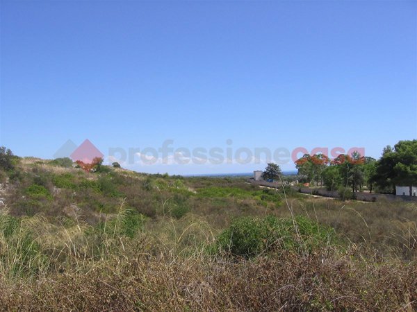 terreno agricolo in vendita a Manduria