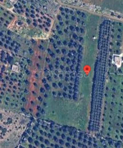 casa indipendente in vendita a Manduria