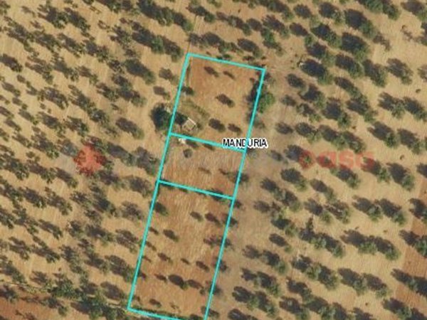 terreno agricolo in vendita a Manduria