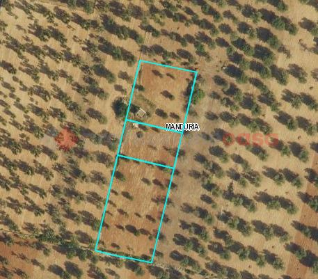 terreno agricolo in vendita a Manduria