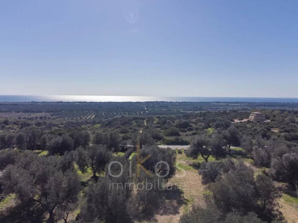 terreno agricolo in vendita a Manduria in zona San Pietro in Bevagna
