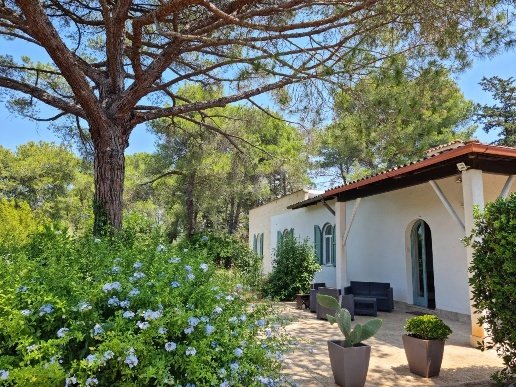 casa indipendente in vendita a Manduria in zona San Pietro in Bevagna