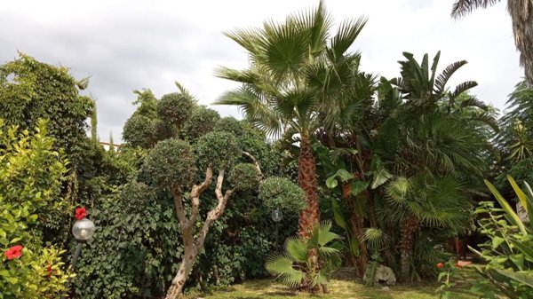 casa indipendente in vendita a Manduria in zona San Pietro in Bevagna