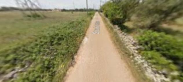 terreno agricolo in vendita a Manduria