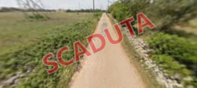 terreno agricolo in vendita a Manduria