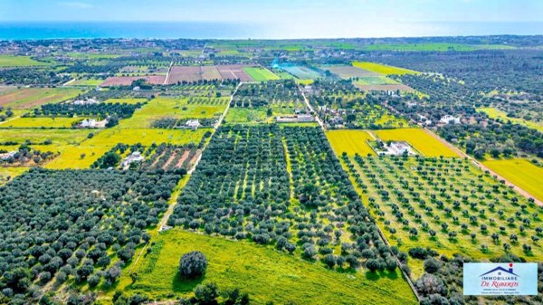 terreno agricolo in vendita a Manduria