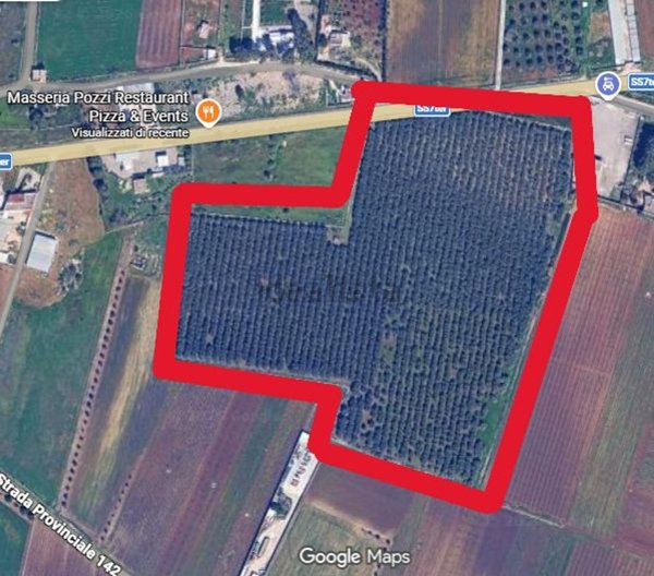 terreno agricolo in vendita a Manduria
