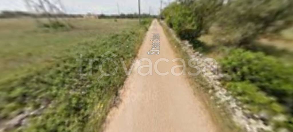 terreno agricolo in vendita a Manduria