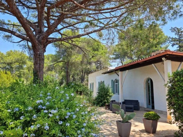 casa indipendente in vendita a Manduria in zona San Pietro in Bevagna