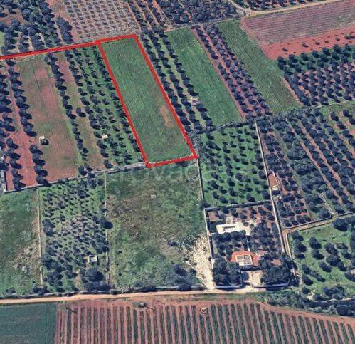 casa indipendente in vendita a Manduria in zona San Pietro in Bevagna