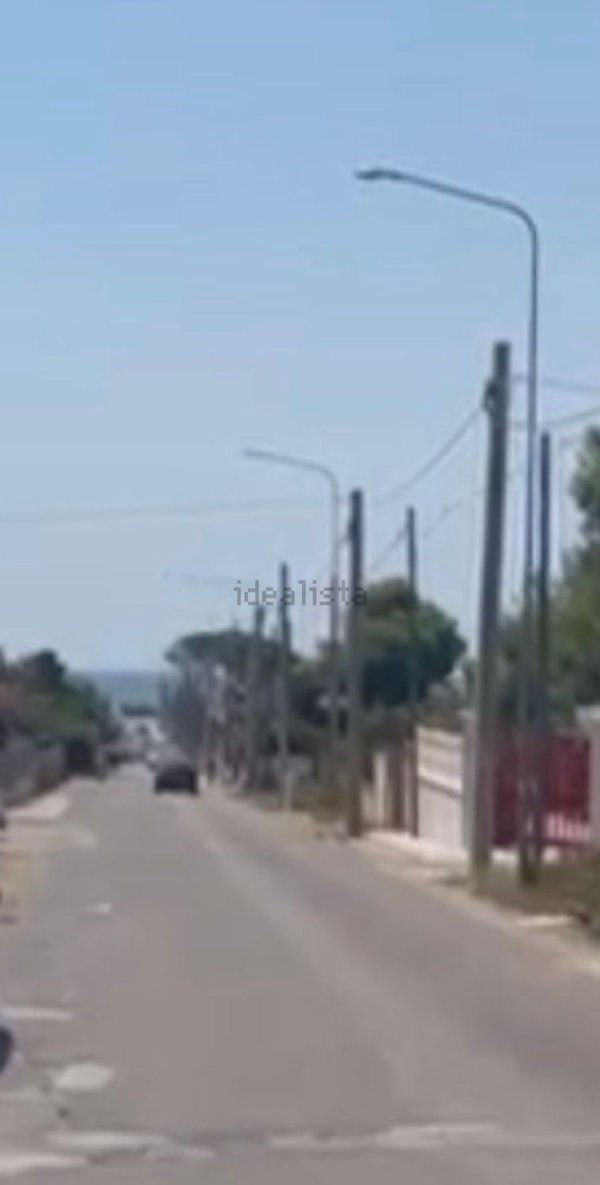 terreno agricolo in vendita a Manduria in zona San Pietro in Bevagna