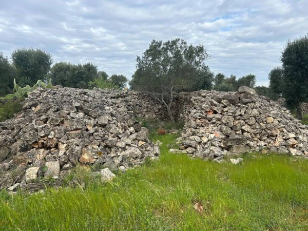 terreno agricolo in vendita a Manduria