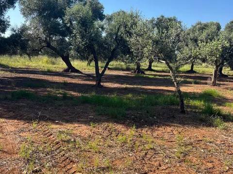 casa indipendente in vendita a Manduria