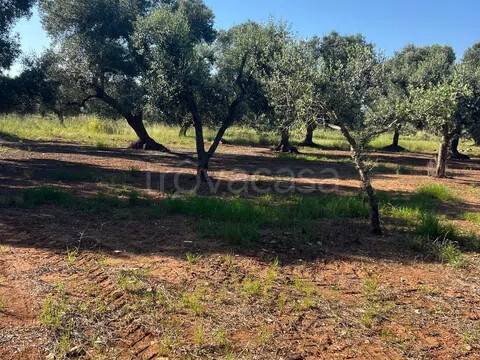 casa indipendente in vendita a Manduria