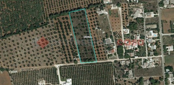 casa indipendente in vendita a Manduria