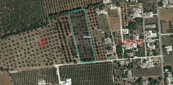 casa indipendente in vendita a Manduria