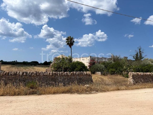 terreno agricolo in vendita a Manduria