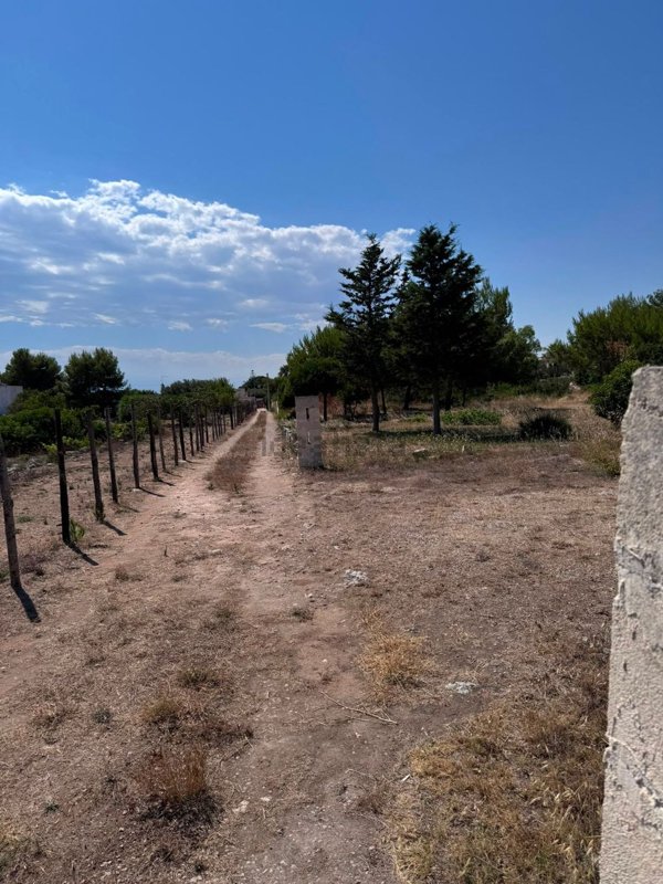 terreno edificabile in vendita a Manduria in zona San Pietro in Bevagna