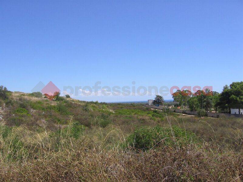 terreno agricolo in vendita a Manduria in zona San Pietro in Bevagna