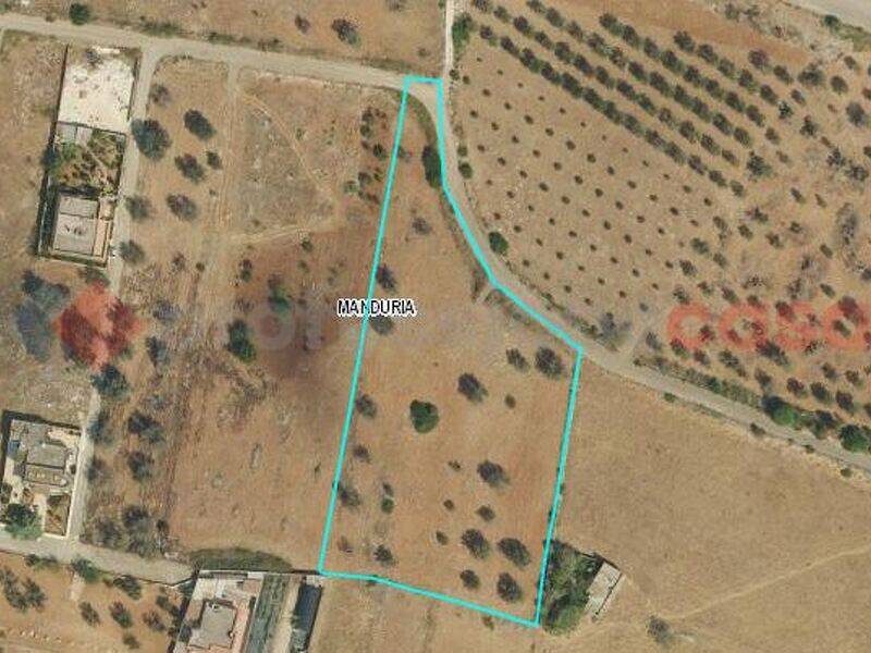 terreno agricolo in vendita a Manduria