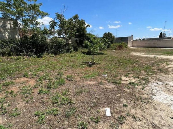 terreno agricolo in vendita a Manduria in zona San Pietro in Bevagna