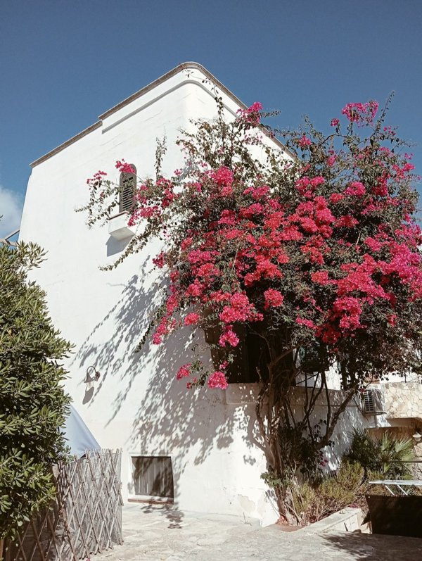 casa indipendente in vendita a Manduria in zona San Pietro in Bevagna
