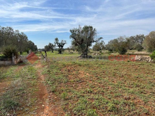 terreno in vendita a Manduria