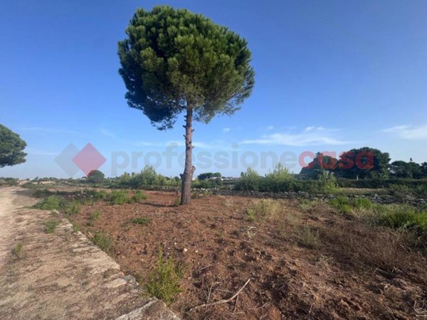 terreno in vendita a Manduria in zona San Pietro in Bevagna