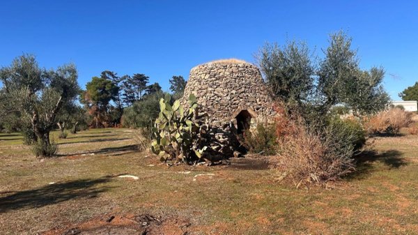 terreno in vendita a Manduria in zona San Pietro in Bevagna