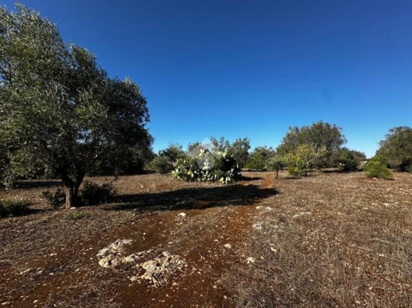 terreno agricolo in vendita a Manduria