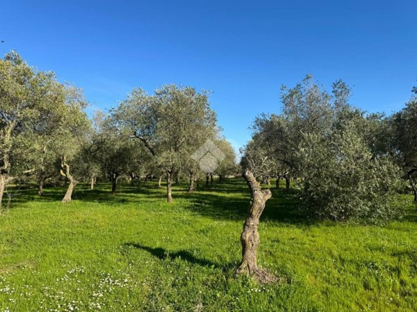 ufficio in vendita a Martina Franca in zona Monti del Duca