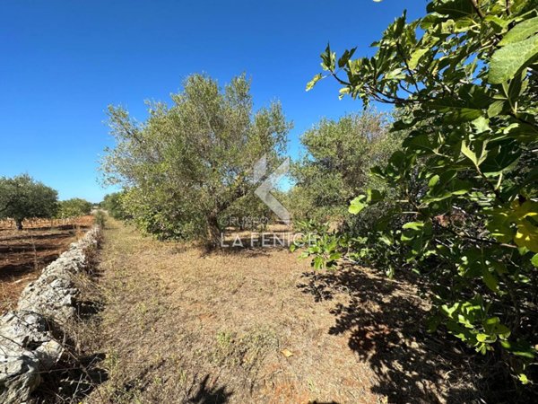 appartamento in vendita a Martina Franca in zona San Paolo