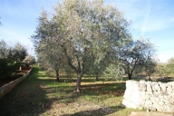terreno edificabile in vendita a Martina Franca in zona Ortolini