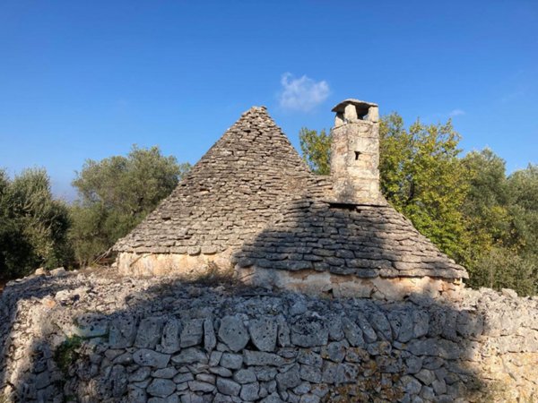 terreno agricolo in vendita a Martina Franca