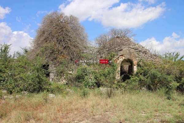 pentavano in vendita a Martina Franca