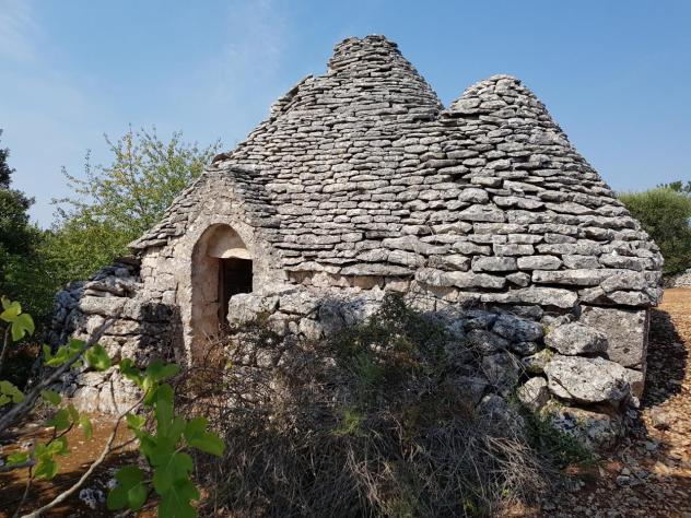 terreno agricolo in vendita a Martina Franca